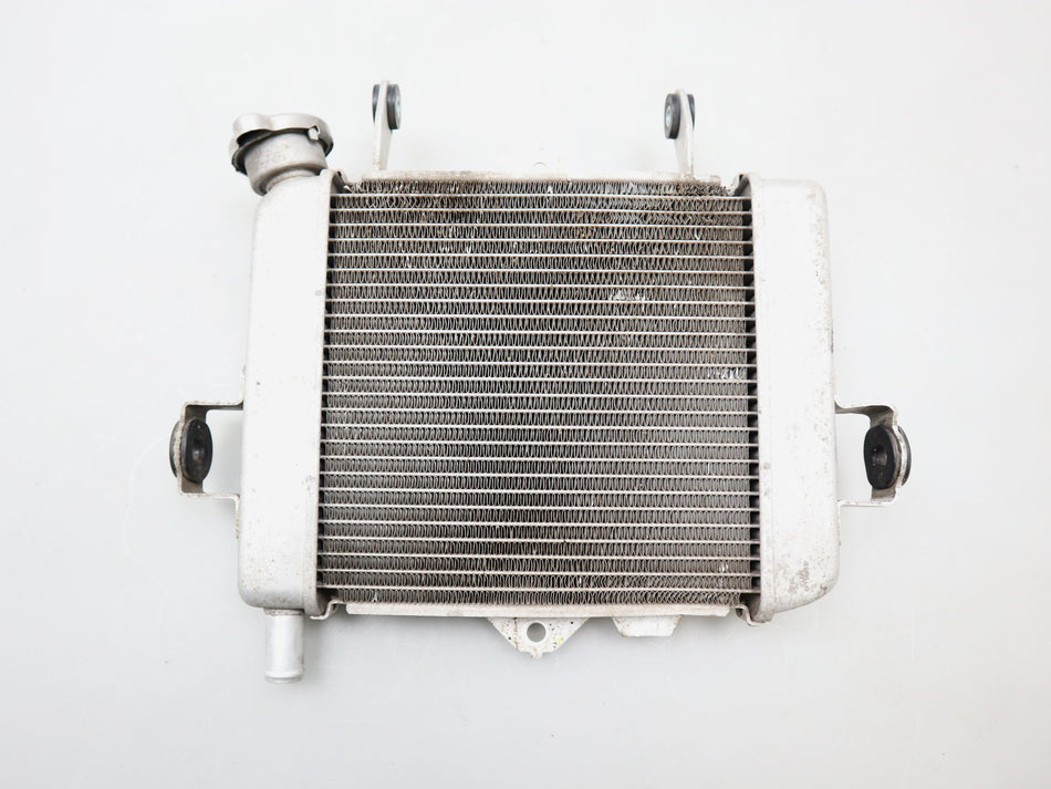 Wasserkühler Kühler Radiator Cooler Suzuki GSX-S 125 / GSX-R 125