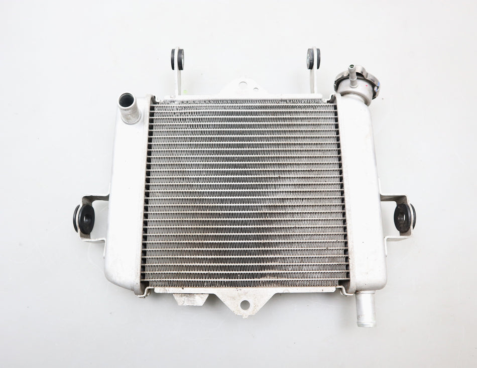Wasserkühler Kühler Radiator Cooler Suzuki GSX-S 125 / GSX-R 125