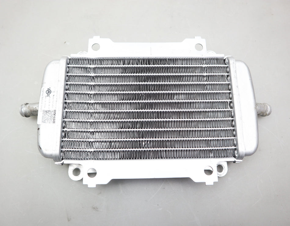 Wasserkühler Kühler Radiator Cooler 577183 Piaggio Vespa GTS 125 300 310