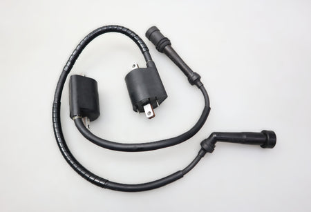 Zündspule Zündmodul 4VR-82310-00 / 4VR-82320-00 Ignition Coil Yamaha XVS 650 VM04 Dragstar