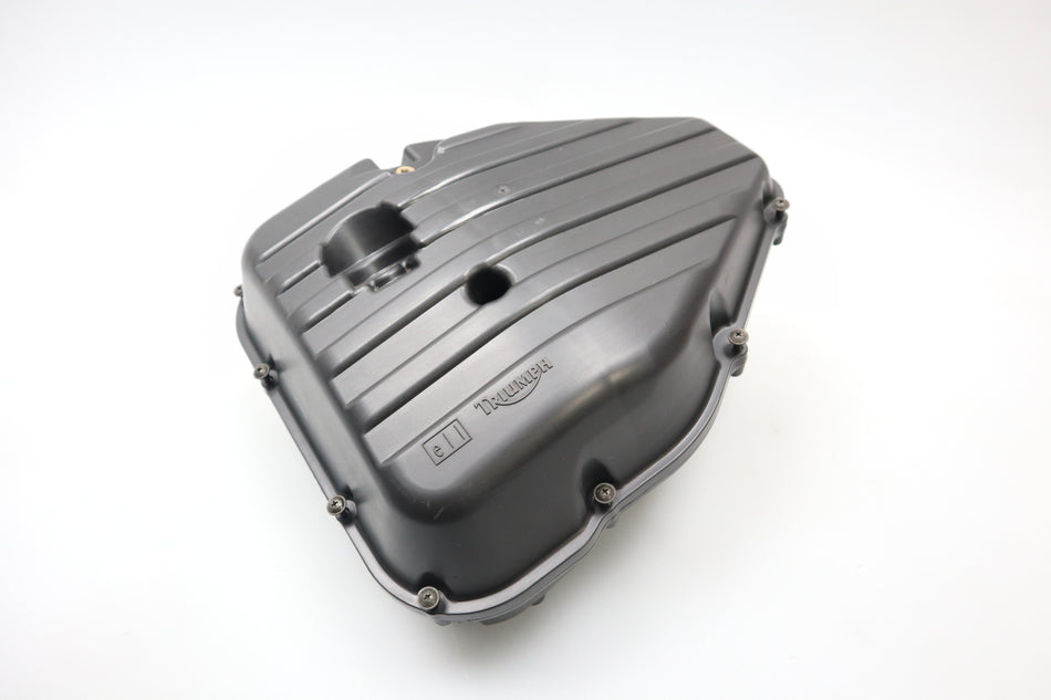 Luftfilterkasten Filterkasten Airbox Luftfiltergehäuse Triumph Tiger 1050 2009