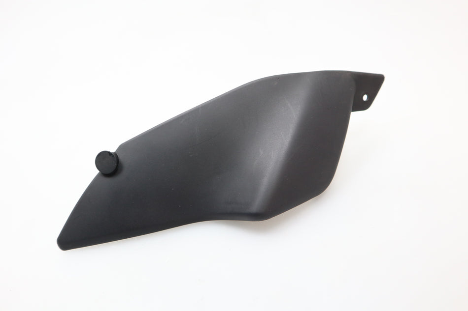 Seiten Verkleidung Abdeckung Cover Fairing BMW R 850 R / R 1150 R21