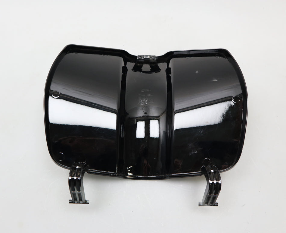 Gepäckfachklappe Deckel Handschuhfach Piaggio Vespa Primavera Sprint 50 125 150