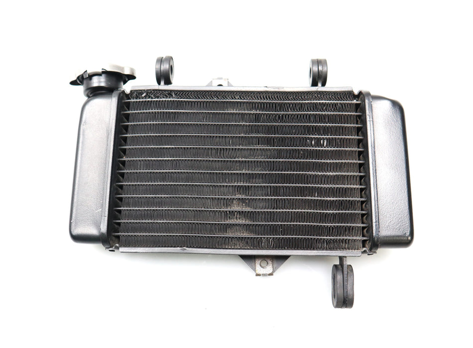 Wasserkühler Kühler Radiator Cooler Yamaha MT 125 RE29 2019