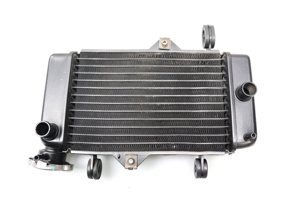 Wasserkühler Kühler Radiator Cooler Yamaha MT 125 RE29 2019