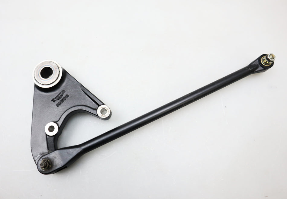 Bremsanker Ankerplatte rear brake caliper carrier Triumph Trophy 1200 T300E