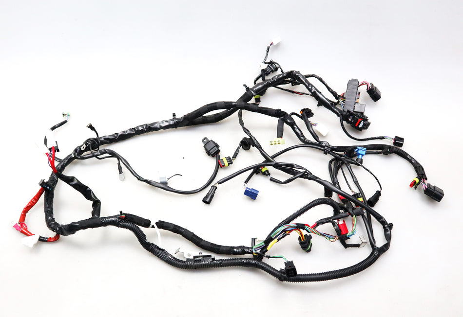 Kabelbaum Hauptkabelbaum Kabel wiring harnes 1D004384 Piaggio Vespa Primavera 50 2024
