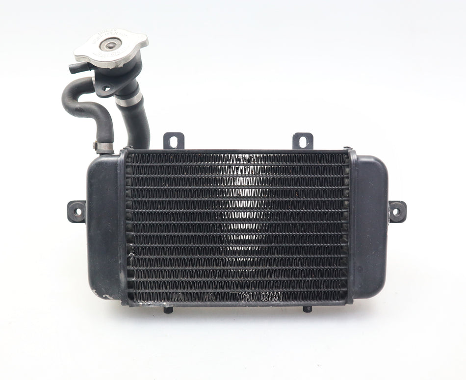 Wasserkühler Kühler Radiator Cooler BMW C1 125 200