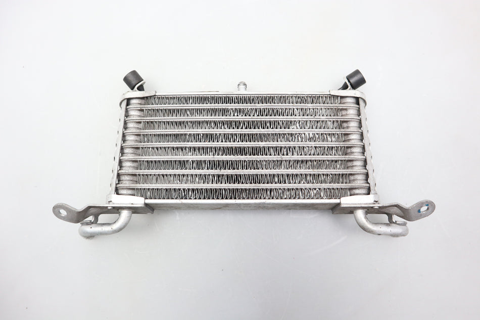 Ölkühler Öl Kühler Radiator Oil Cooler BMW S 1000 RR K46 2015-2019 1721 8544996-03