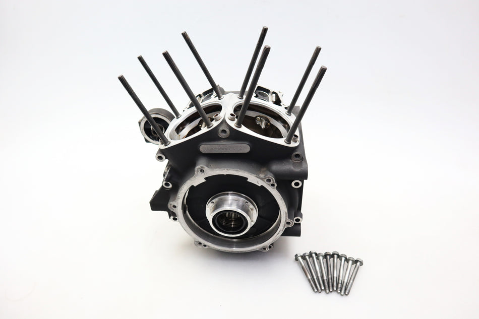 Motorgehäuse Motor 24649-06 24653-06 Engine Housing Harley Street Glide 96 Touring FLHX 2009