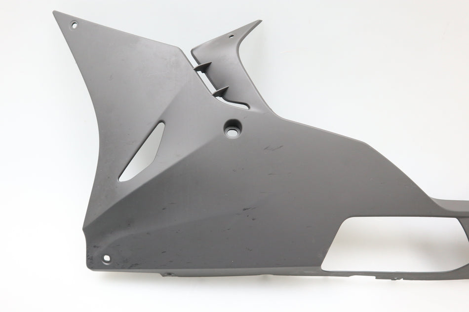 Bug Verkleidung links Abdeckung Fairing BMW S 1000 RR K46 2015-2018 M2623