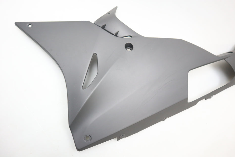 Bug Verkleidung links Abdeckung Fairing BMW S 1000 RR K46 2015-2018 M2625