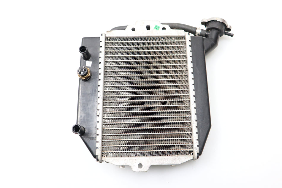 Wasserkühler Kühler Radiator Cooler Peugeot Citystar 200 2014-2017